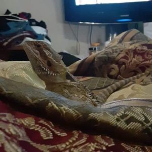 Meet your Posher, Aj